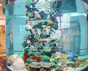 深圳大型亚克力...