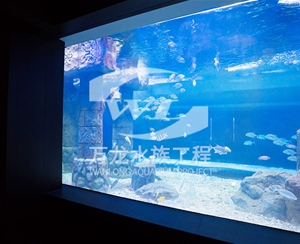 深圳大型亚克力...