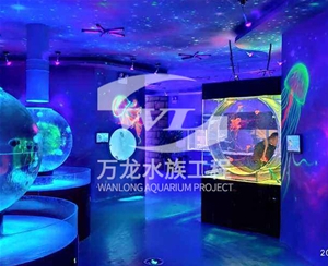 深圳萌宠乐园