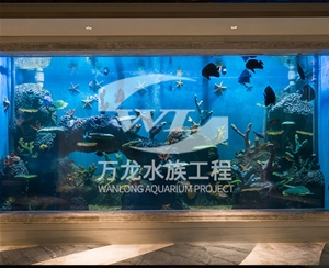 深圳海底景观设计