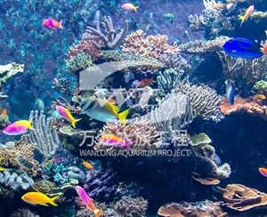 深圳海底景观设计