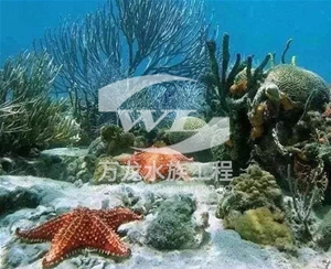 深圳海底景观设计
