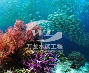 深圳海底景观设计
