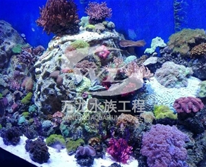 深圳海底景观设计