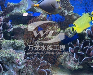 深圳海底景观设计